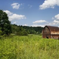 Nature: Lazy Summer Day Nature: Lazy Summer Day