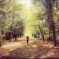 Binaural: Energizing Your Body Binaural: Energizing Your Body