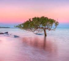 What Makes Life Precious What Makes Life Precious