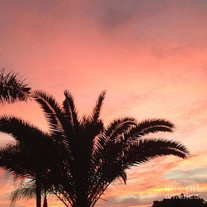 Binaural: Euphoria & Relaxation Binaural: Euphoria & Relaxation