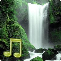 Radio: Ambi Nature Radio: Ambi Nature