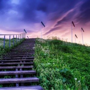 Mindfulness & Pain 6: Compassion and Investigation Mindfulness & Pain 6: Compassion and Investigation