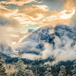 The Art Of Renunciation The Art Of Renunciation