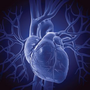 Compassionate Body Scan Compassionate Body Scan