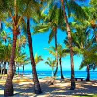 Nature: Tropical Beach at Sunset Nature: Tropical Beach at Sunset