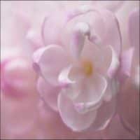 Radio: Easy Listening, Spiritual Radio: Easy Listening, Spiritual