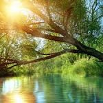 4 Minute Meditation 4 Minute Meditation