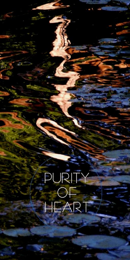 Purity of Heart