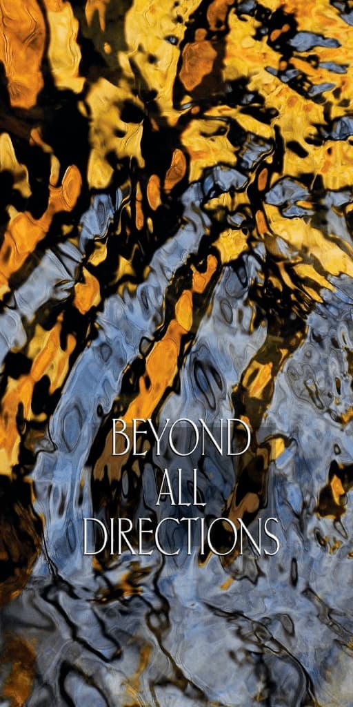 Beyond All Directions