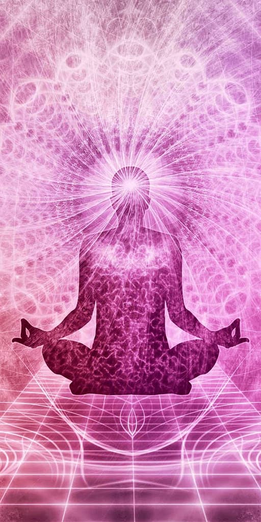 The Wings To Awakening