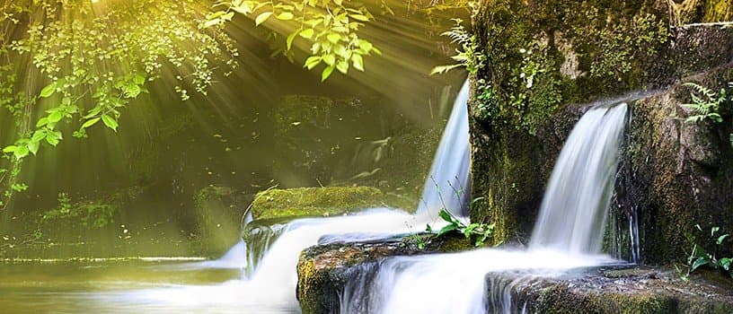 Lesson from Nature, Guided Meditation Audio