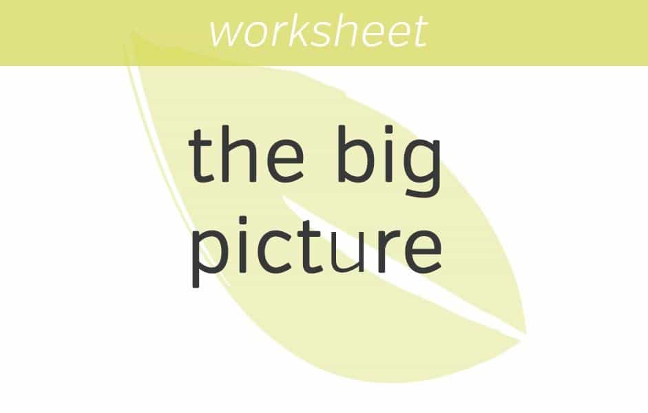 seeing the big picture