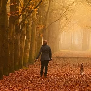 Mindfulness of walking