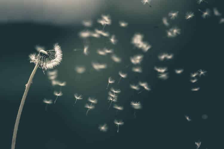 Three Mindful Breaths