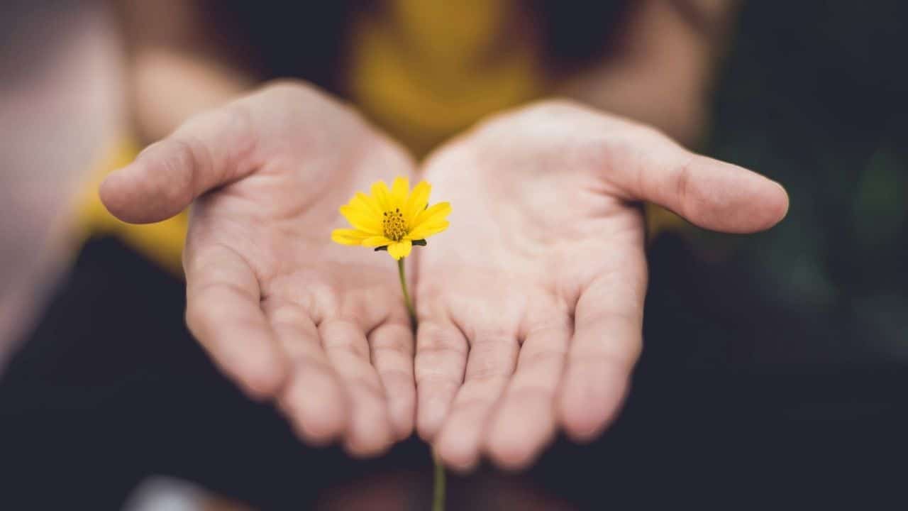 The Healing Power of Presence
