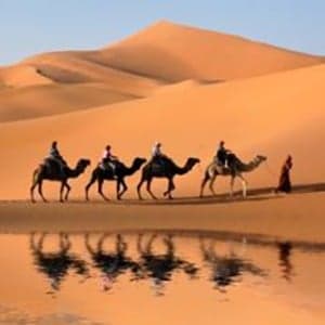 The Camel Knows The Way: Reflections On Faith