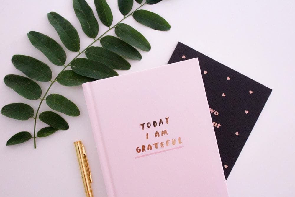 Gratitude Is Not In The Words