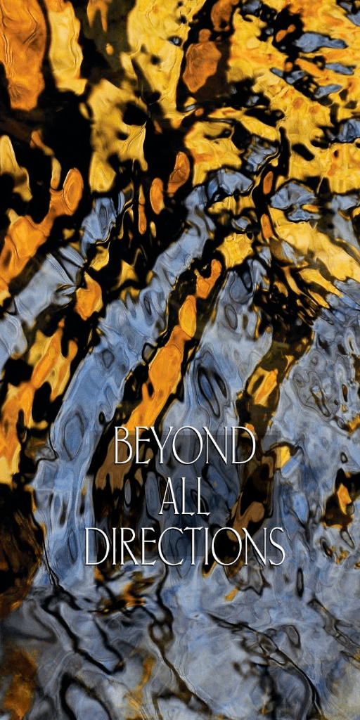 Beyond All Directions