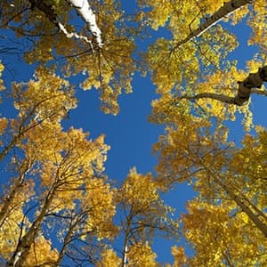 Nature of Awareness