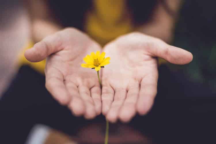 Forgiveness Meditation