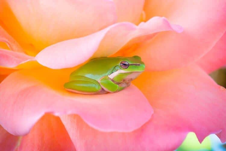 Being Still