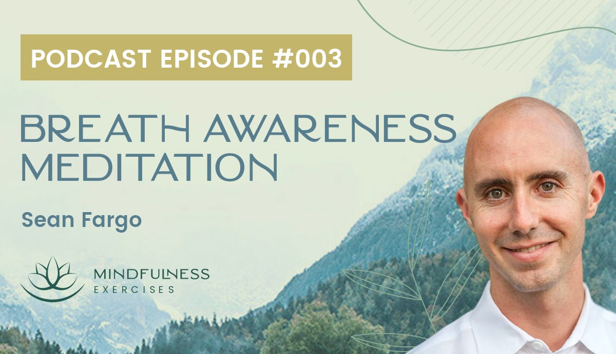 Breath Awareness Meditation - Sean Fargo