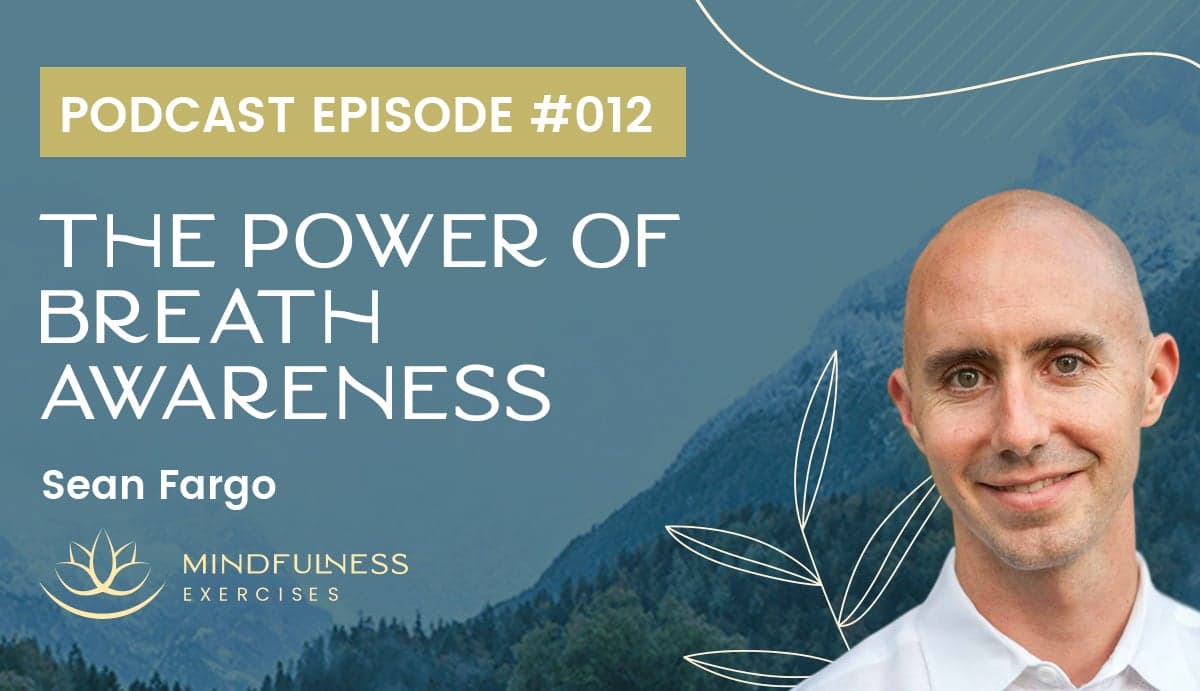 The Power of Breath Awareness - Sean Fargo