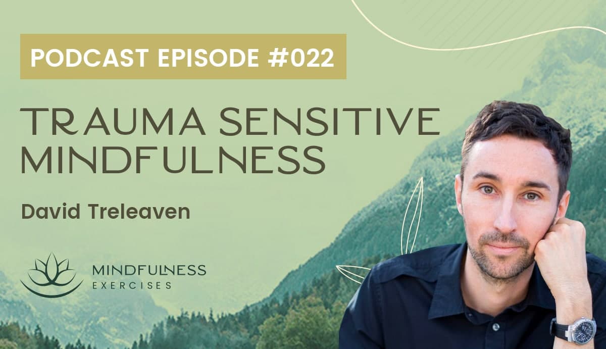 Trauma Sensitive Mindfulness - David Treleaven