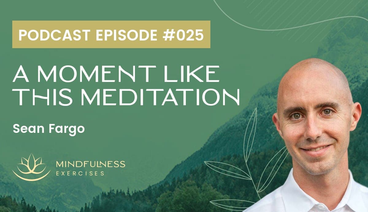 A Moment Like This Meditation - Sean Fargo