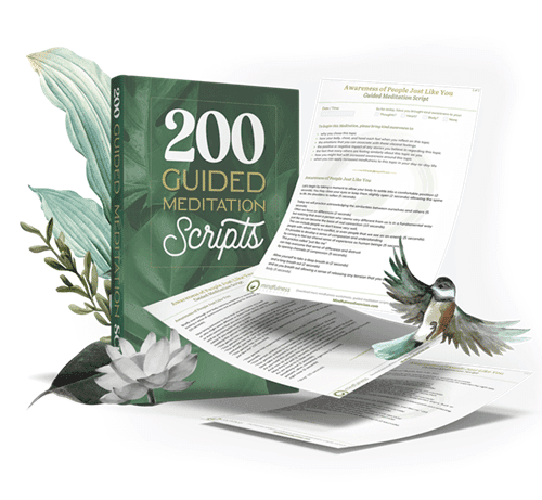 200 Guided Meditation Scripts