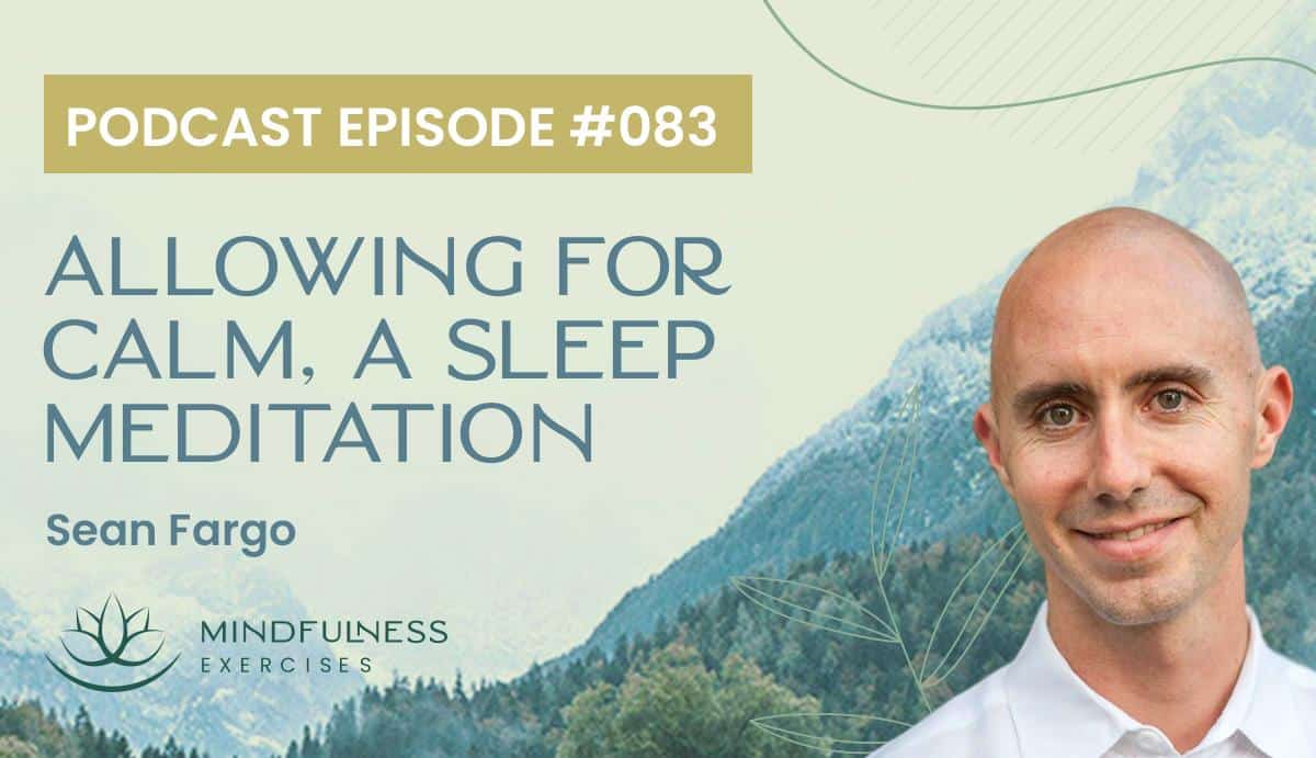 Allowing for Calm, A Sleep Meditation with Sean Fargo