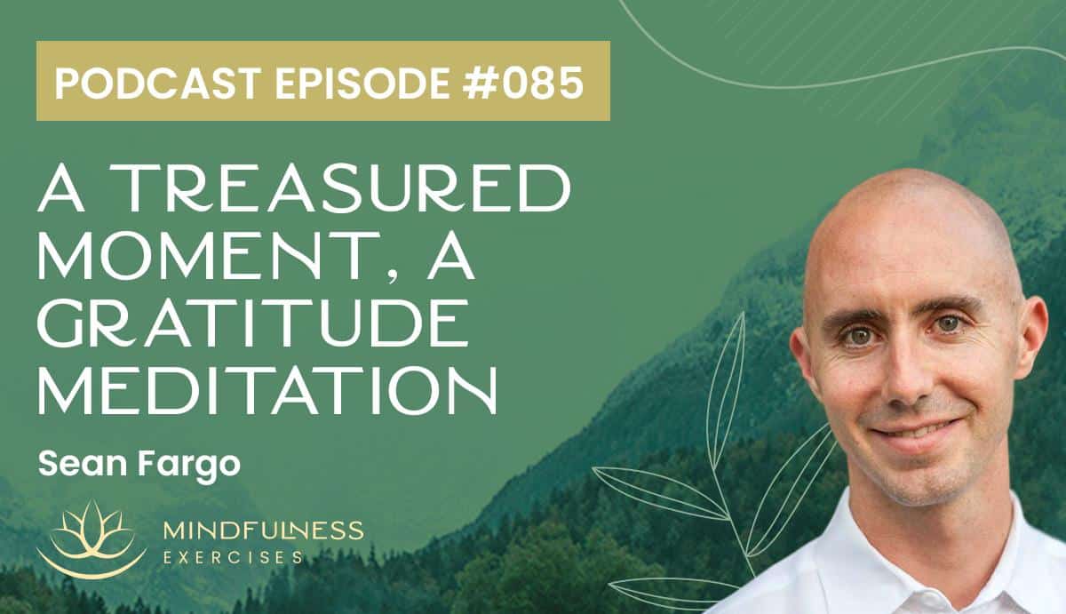 A Treasured Moment, A Gratitude Meditation with Sean Fargo