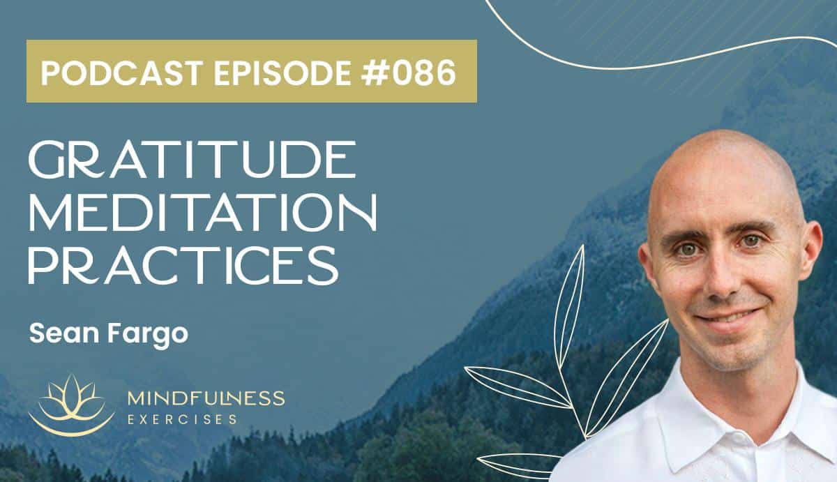 Gratitude Meditation Practices, With Sean Fargo