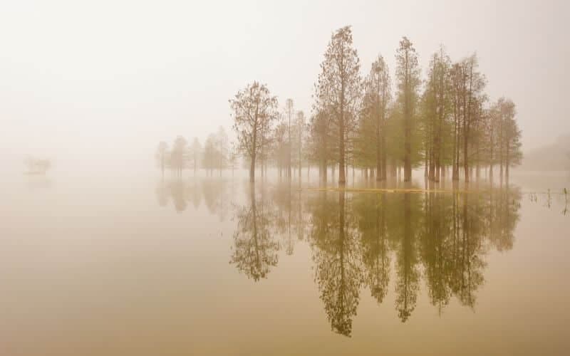The Power of Silence Quotes