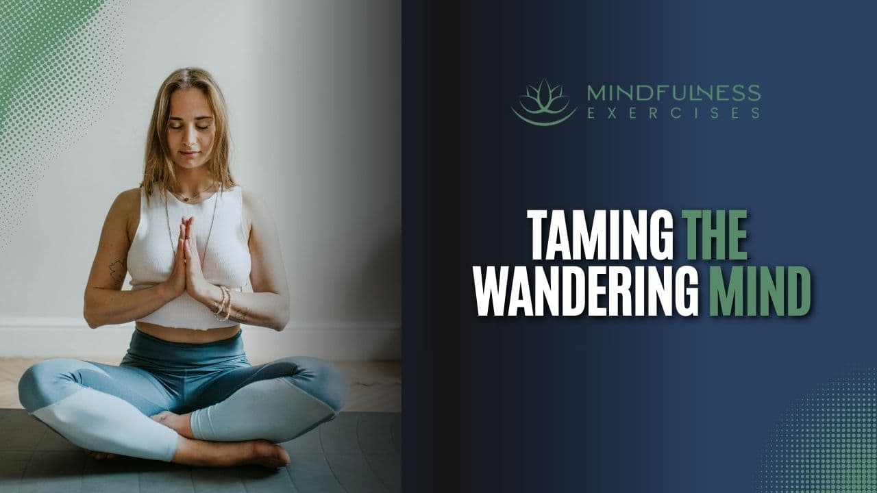 Taming The Wandering Mind