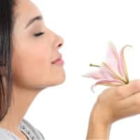 Opening Your Senses