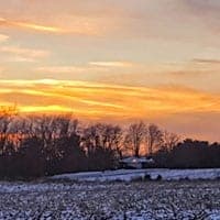 Seeing Anew