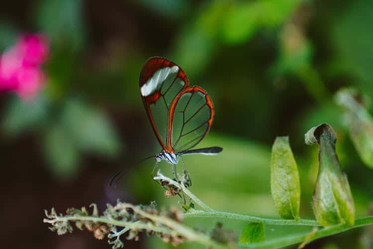 Tending to the Body