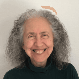 Ines Freedman, Insight meditation teacher