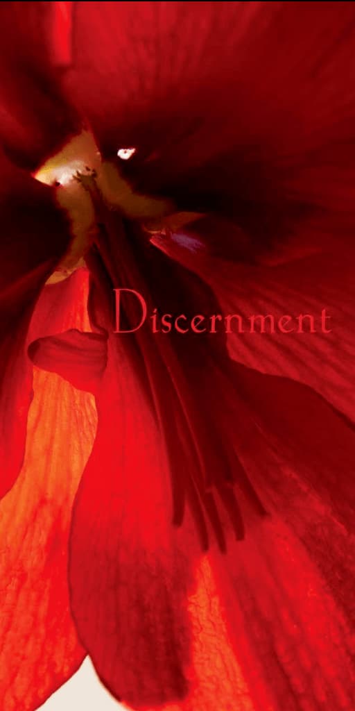 Discernment The Buddhas Strategies for Happiness
