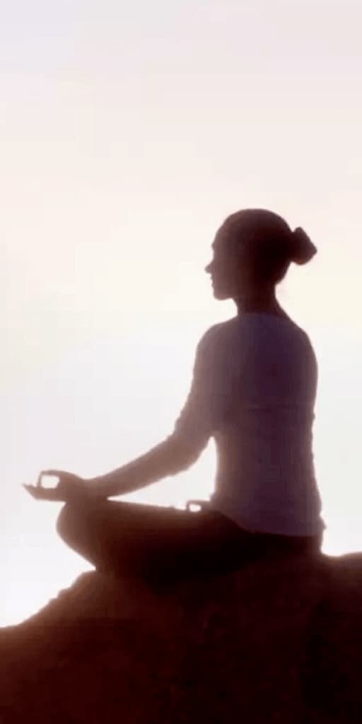 Meditations 1 by Thanissaro Bhikkhu