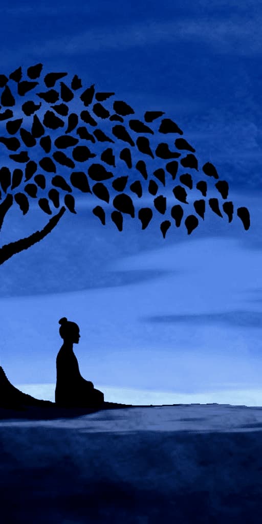 Meditations 4 by Thanissaro Bhikkhu