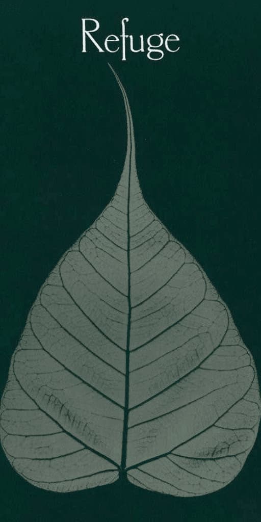Refuge An Introduction to the Buddha, Dhamma, and Sangha
