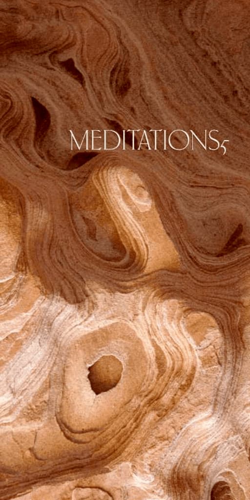Meditations 5 by Thanissaro Bhikkhu