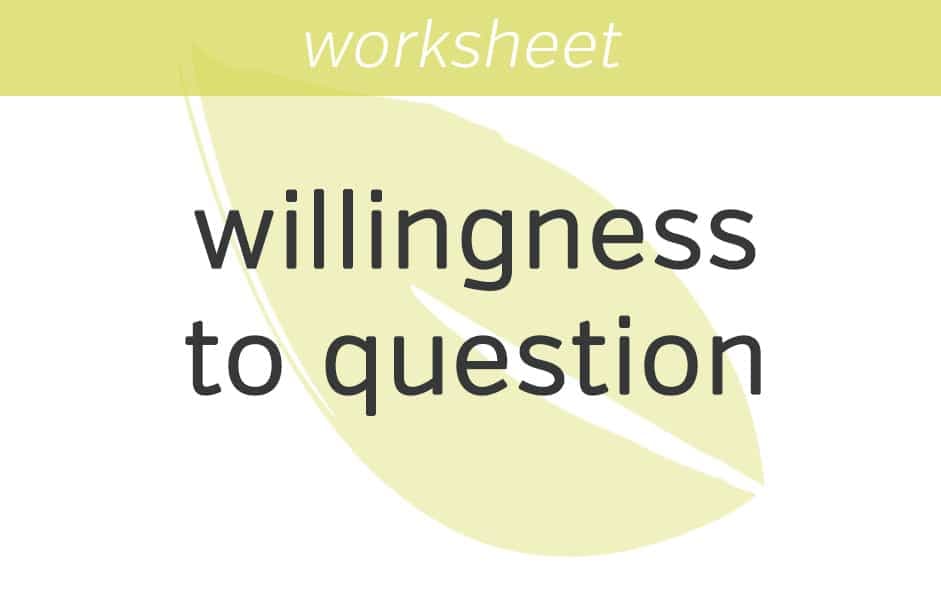 Willingness to Question