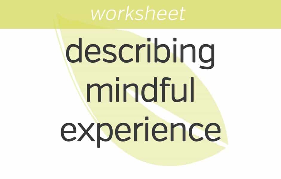 Describing Our Mindful Experience