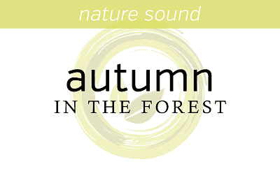 Nature Sounds: Autumn in the forest