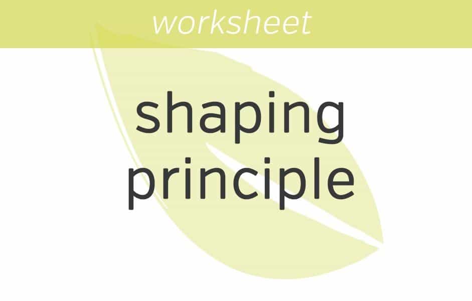 the shaping principle