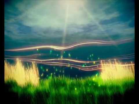 Ho’oponopono Hawaiian Prayer + Binaural Beats