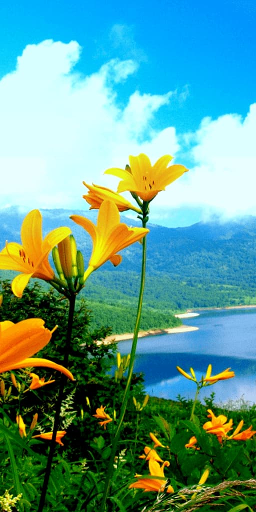 Ajahn Chah Teachings on Nature